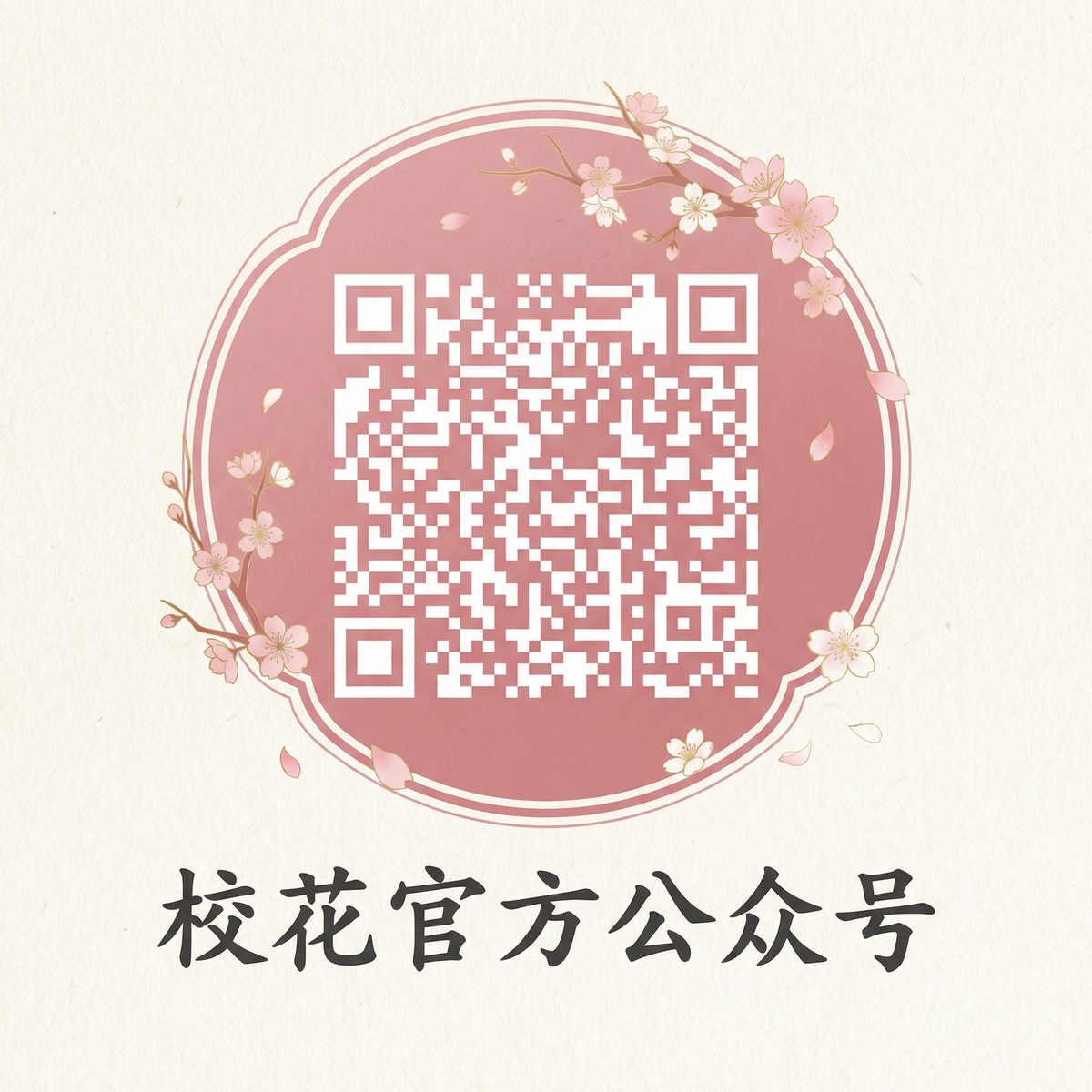 校花传媒微信公众号二维码扫码关注